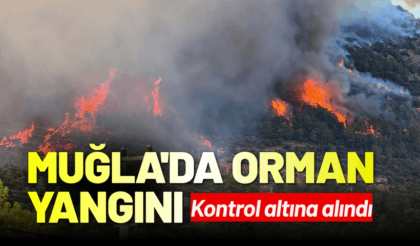 Muğla yangını kontrol altına alındı