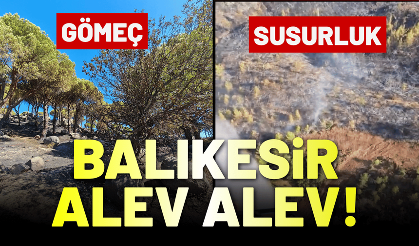 Balıkesir alev alev yanıyor: Susurluk ve Gömeç'te müdahale sürüyor