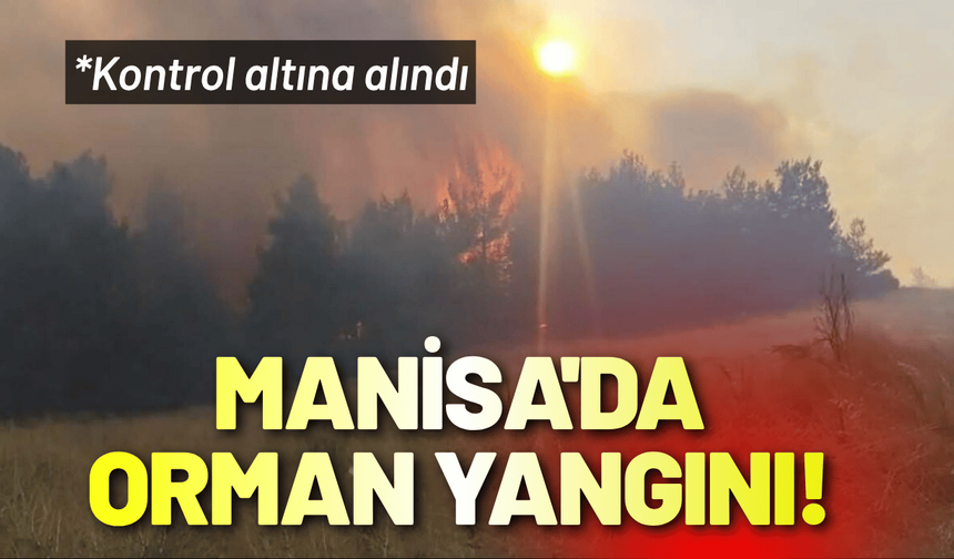 Manisa'da orman yangını! Kontrol altına alındı
