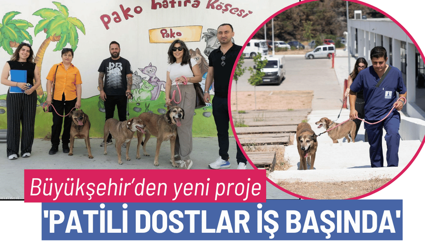 Büyükşehir'den 'Patili Dostlar İş Başında' projesi