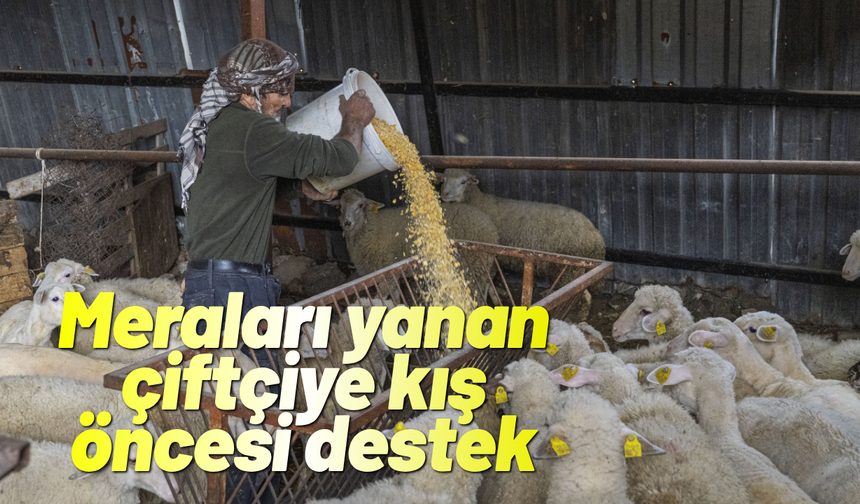 Meraları yanan çiftçiye kış öncesi destek