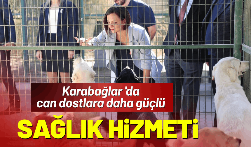 Karabağlar 'da can dostlara daha güçlü sağlık hizmeti