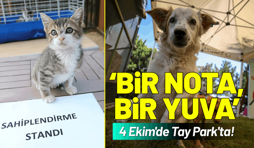 'Bir Nota, Bir Yuva' buluşması 4 Ekim'de Tay Park'ta!