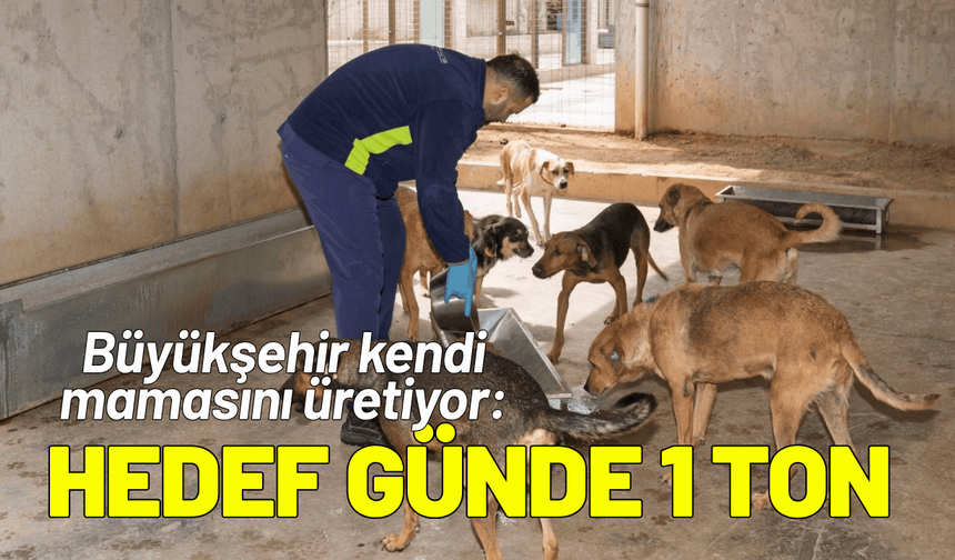 Büyükşehir kendi mamasını üretiyor: Hedef günde 1 ton