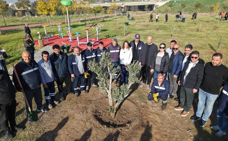 Karşıyaka'da zeytin fidanları toprakla buluştu