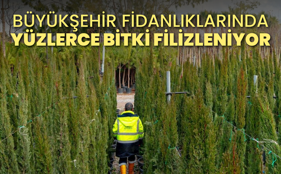 İzmir’in renkleri Büyükşehir fidanlıklarında filizleniyor
