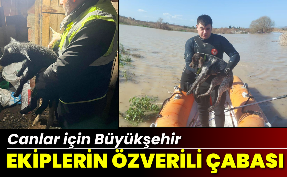 Canlar için Büyükşehir ekiplerinin özverili çabası