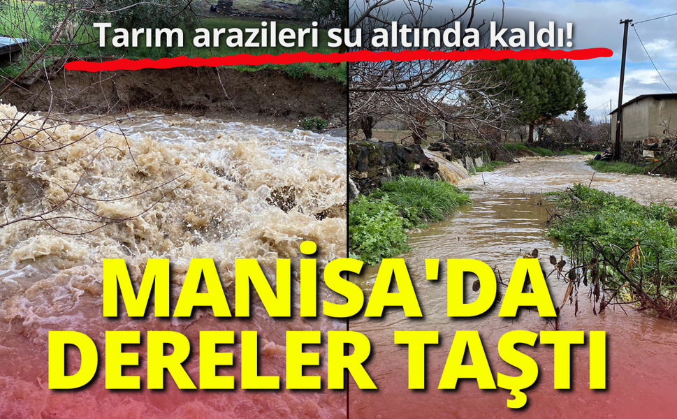 Manisa'da dereler taştı; tarım arazileri su altında kaldı!