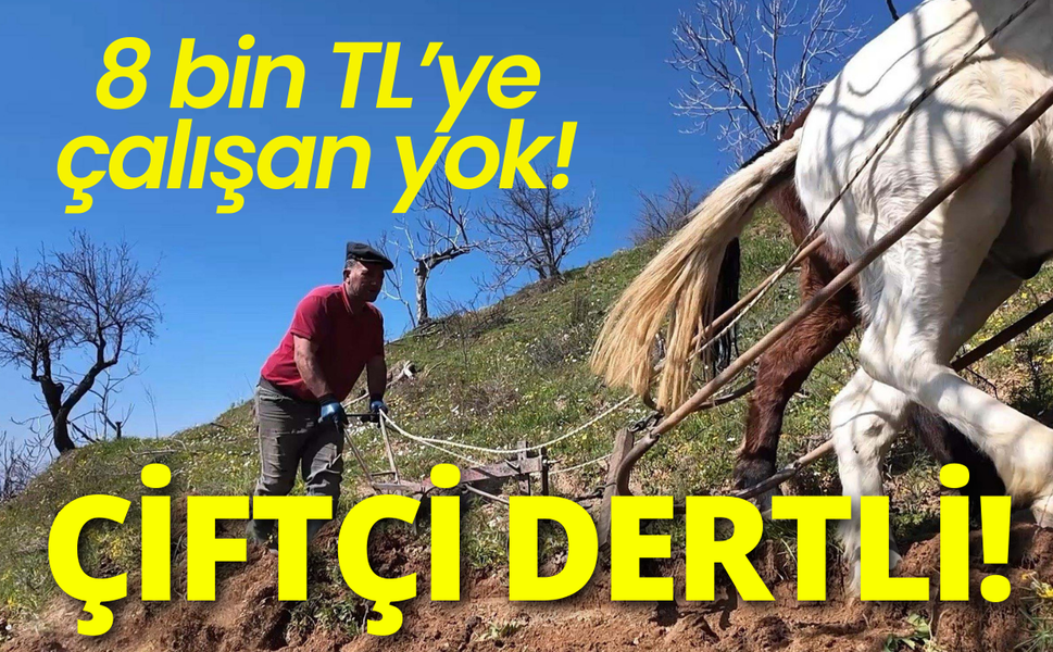 Çiftçi dertli: 8 bin TL’ye çalışan yok!