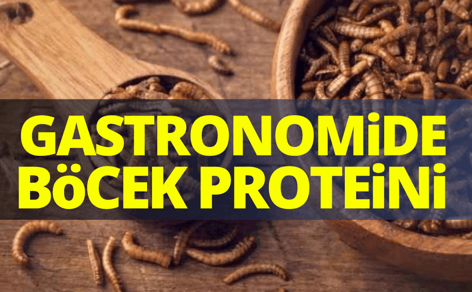 Gastronomide şefler böcek proteinine yöneliyor!