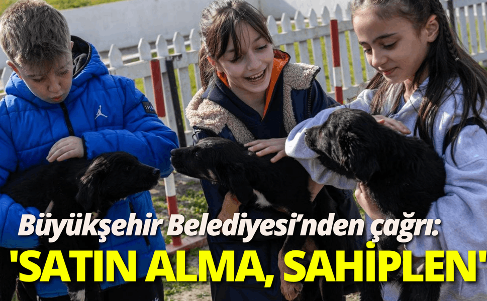 Büyükşehir'den 'Satın alma, sahiplen' çağrısı