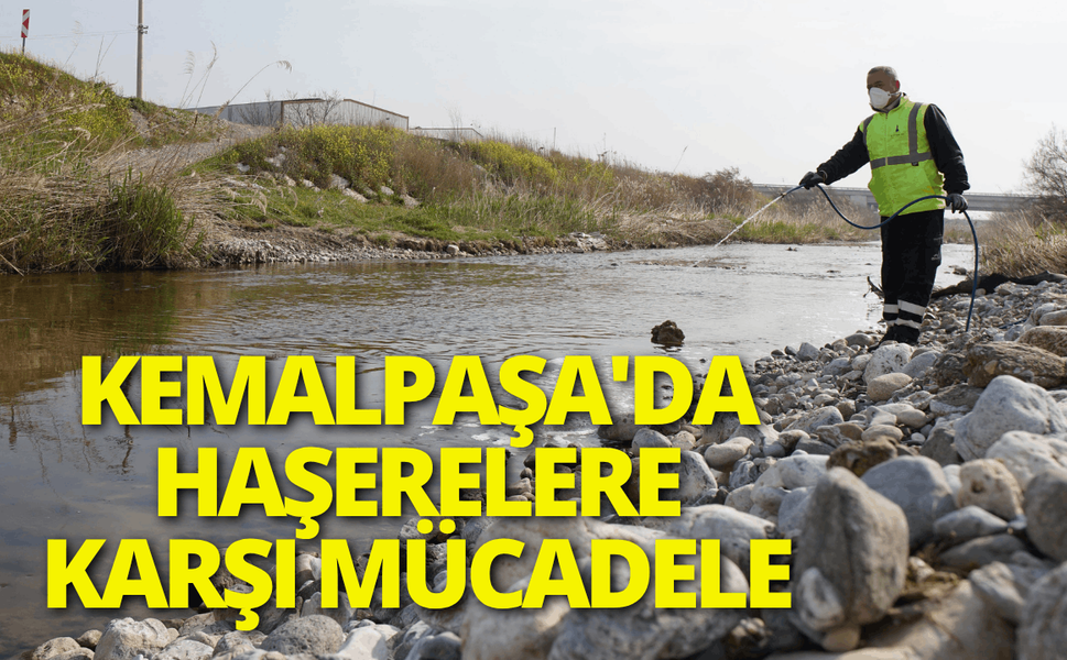 Kemalpaşa'da haşerelere karşı mücadele