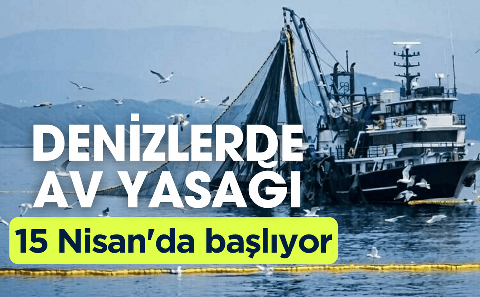 Denizlerde av yasağı 15 Nisan'da başlıyor