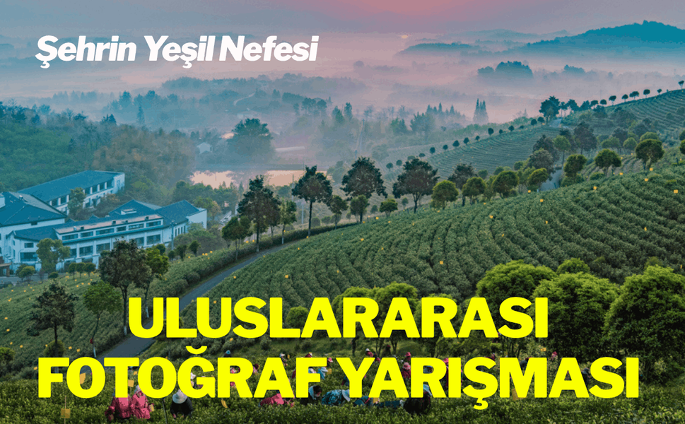 Uluslararası Fotoğraf Yarışması'nda kazananlar belli oldu