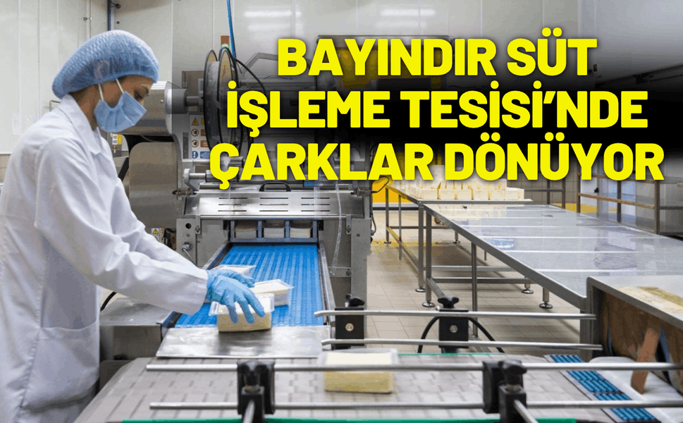 Bayındır Süt İşleme Tesisi’nde çarklar dönüyor