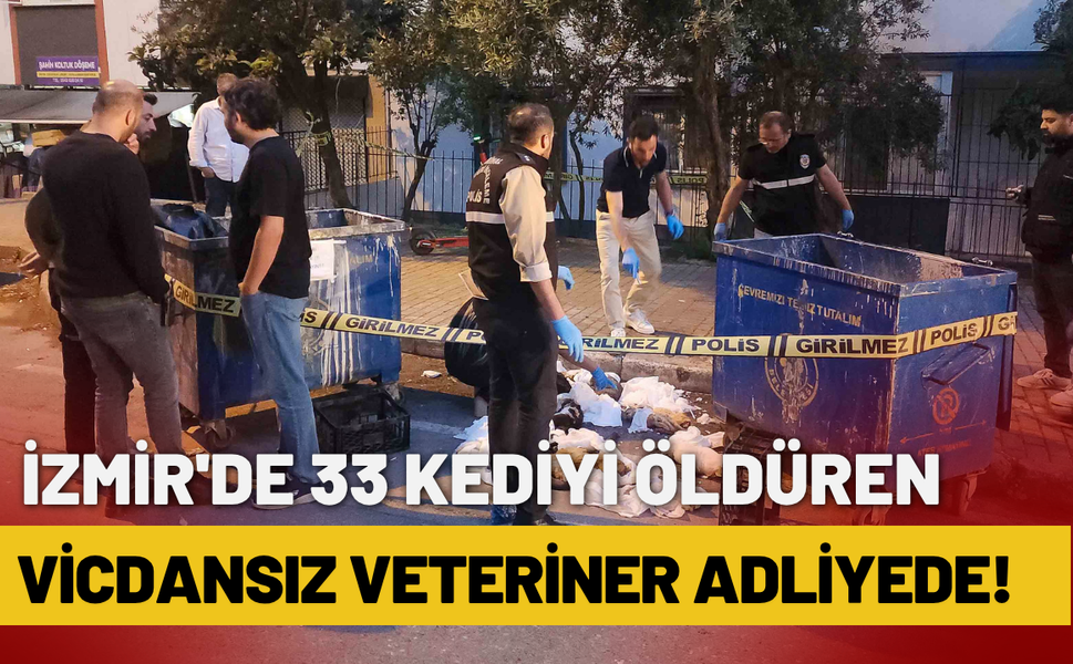 İzmir'de 33 kediyi öldüren vicdansız veteriner adliyede!