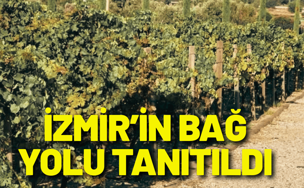 İzmir’in Bağ Yolu tanıtıldı