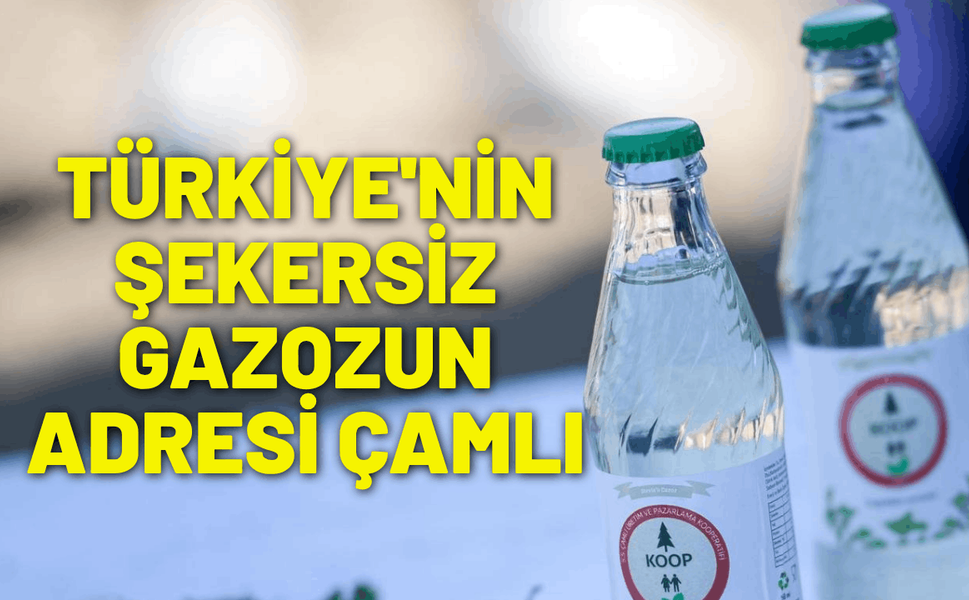 Türkiye'nin şekersiz gazozun adresi Çamlı