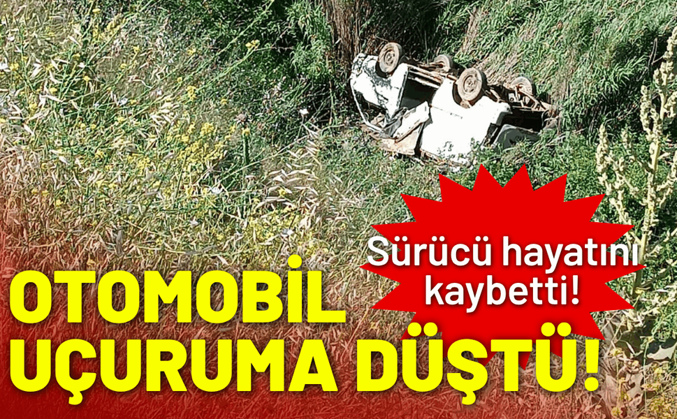 Otomobil uçuruma düştü, sürücü hayatını kaybetti!