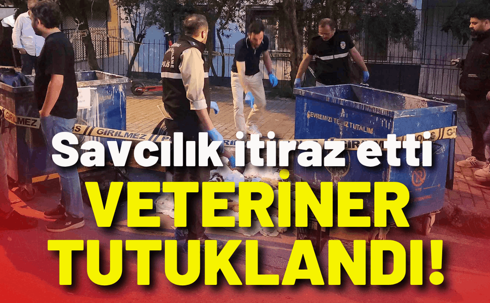 Savcılık itiraz etti, veteriner tutuklandı!