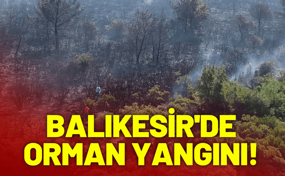 Balıkesir'de orman yangını!