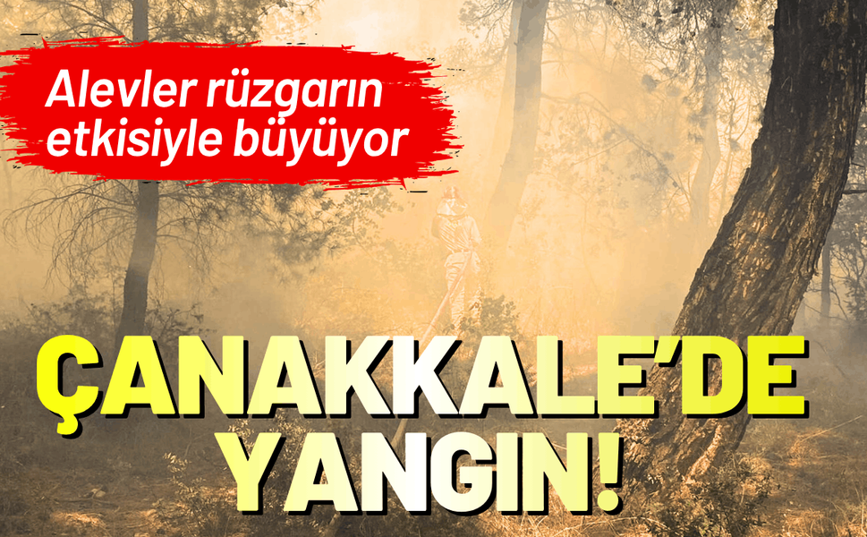 Çanakkale'de yangın! Alevler rüzgarın etkisiyle büyüyor
