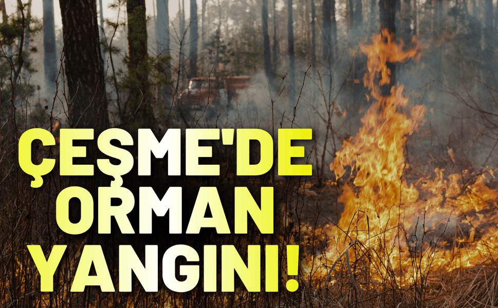İzmir Çeşme'de orman yangını!