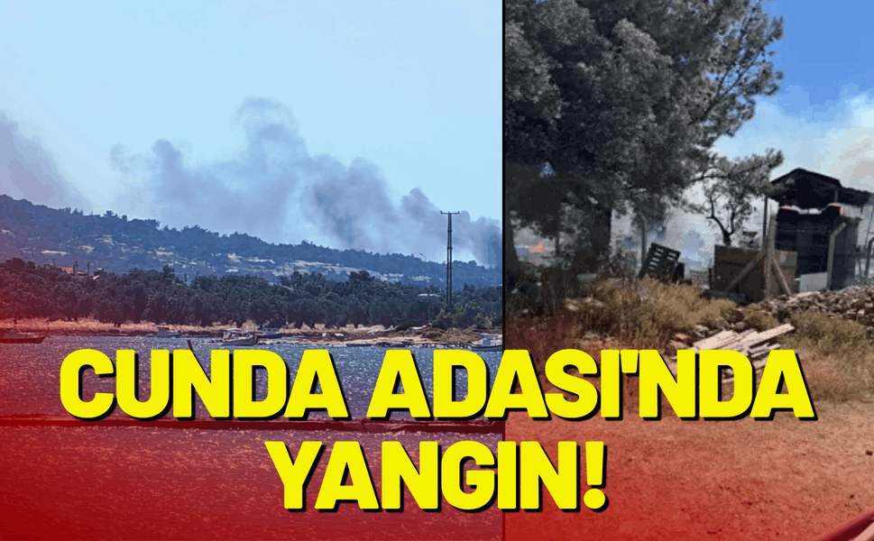 Balıkesir'in Cunda Adası'nda yangın!