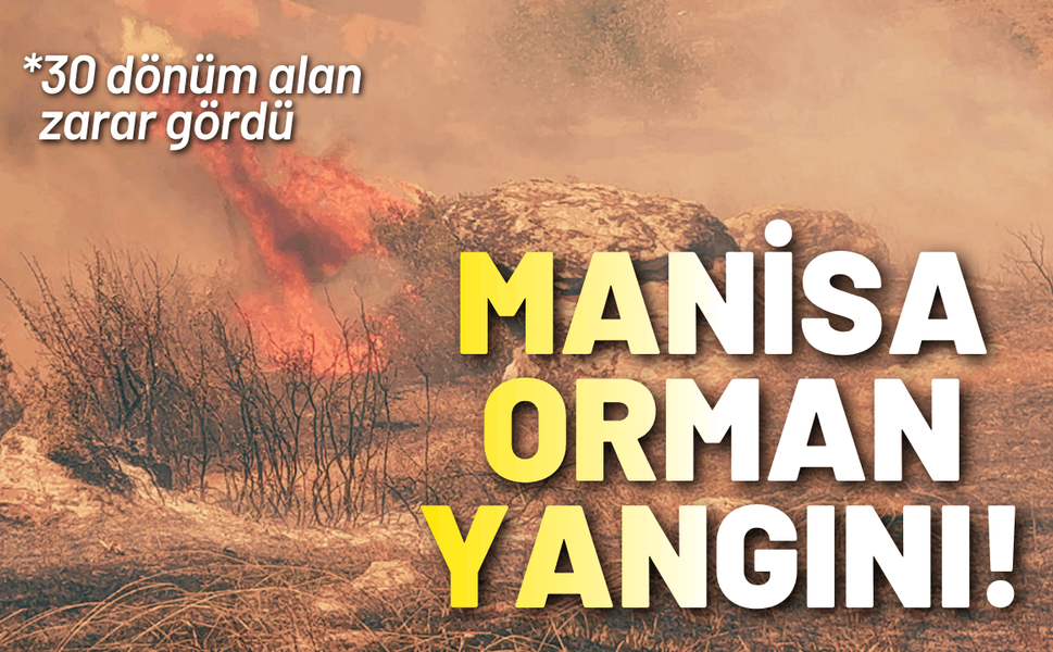 Manisa'da maki yangını: 30 dönüm alan zarar gördü