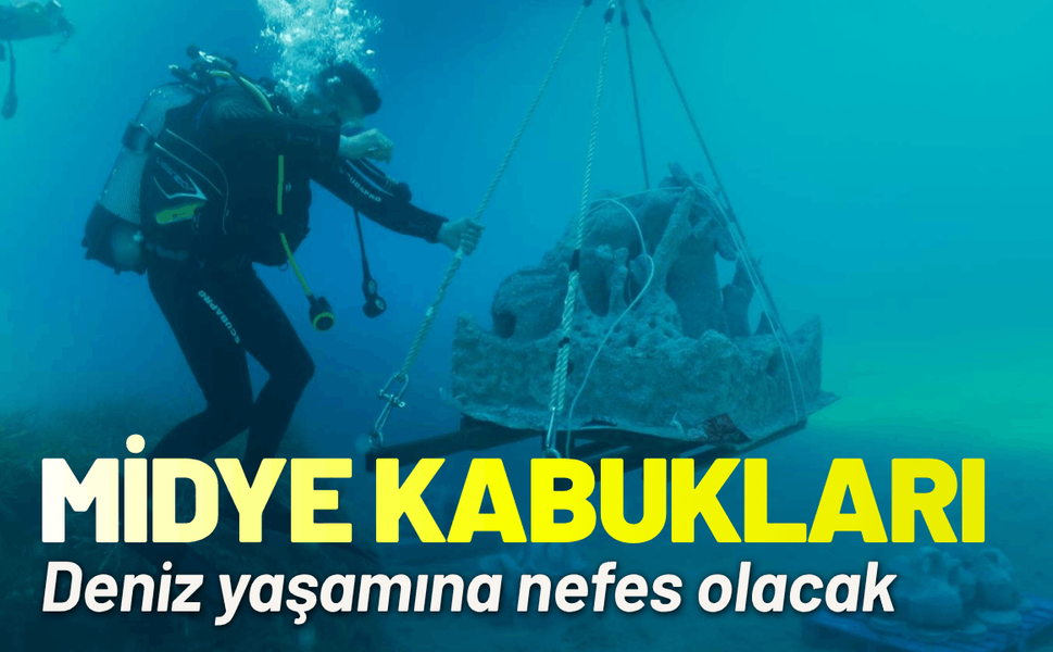 Midye kabukları deniz yaşamına nefes olacak