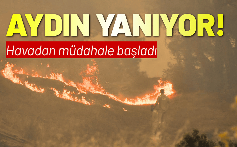 Aydın'daki orman yangını: Havadan müdahale başladı