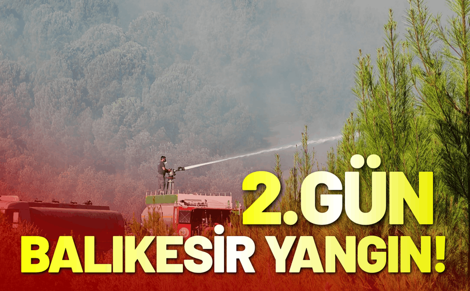 Balıkesir Gömeç'te yangın 2'nci gününde