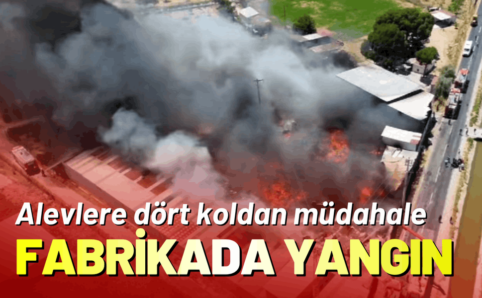 İzmir'de geri dönüşüm fabrikasında yangın