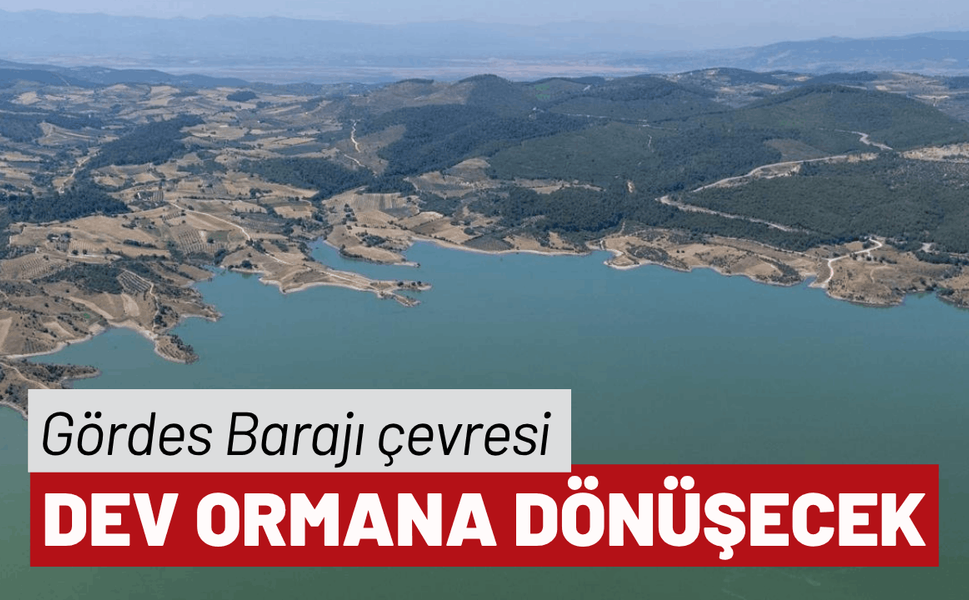 Gördes Barajı çevresi dev ormana dönüşecek
