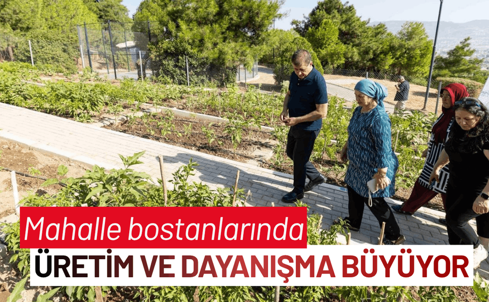 Mahalle bostanlarında üretim ve dayanışma büyüyor