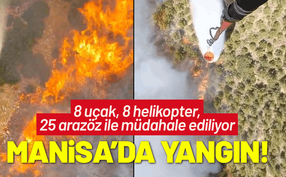Manisa'da orman yangını