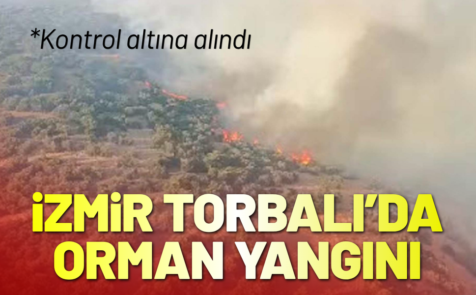İzmir Torbalı'da orman yangını!
