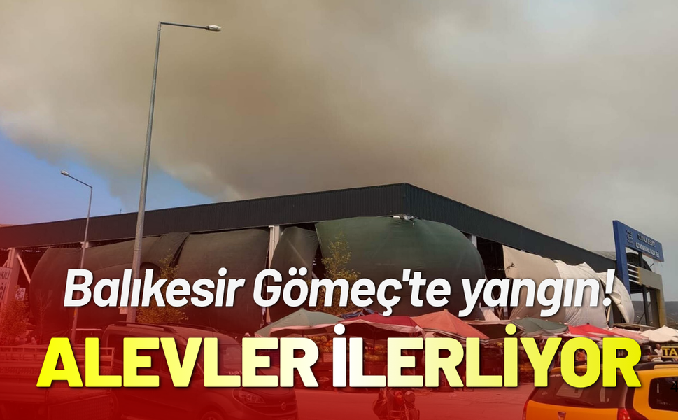 Balikesir Gömeç'te yangın! Alevler ilerliyor