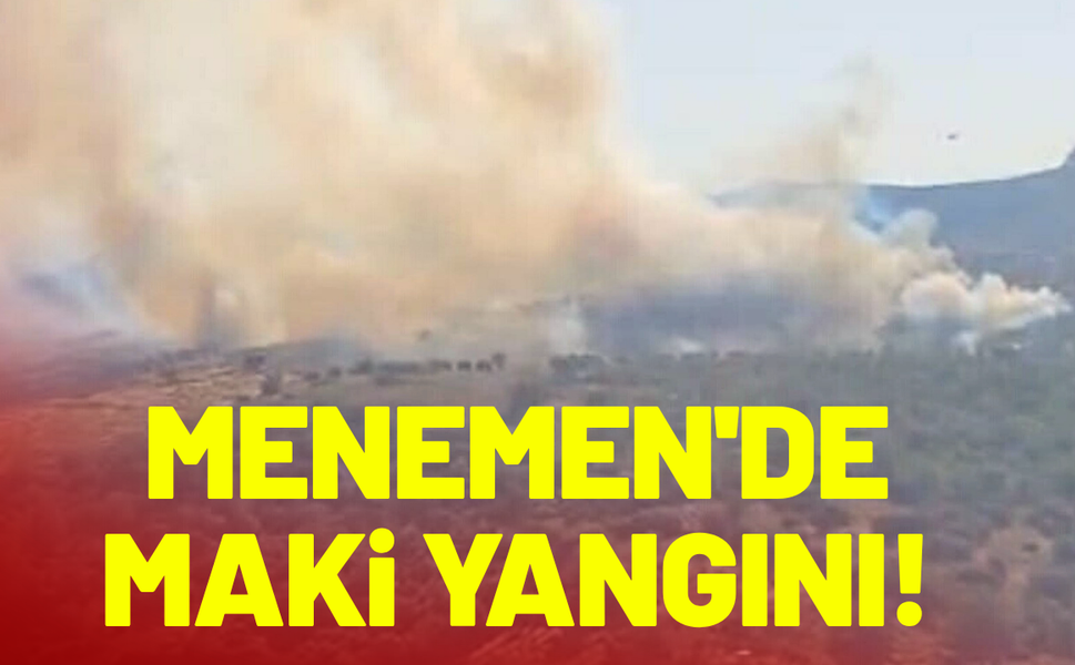İzmir Menemen'de maki yangını!
