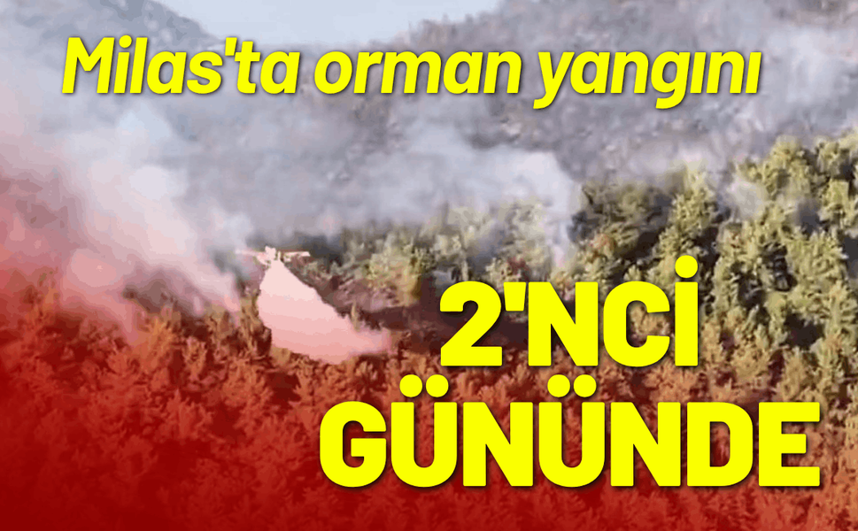 Milas'ta orman yangını 2'nci gününde