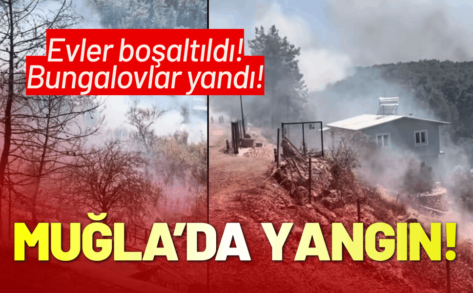 Muğla'da orman yangını: Evler boşaltıldı!