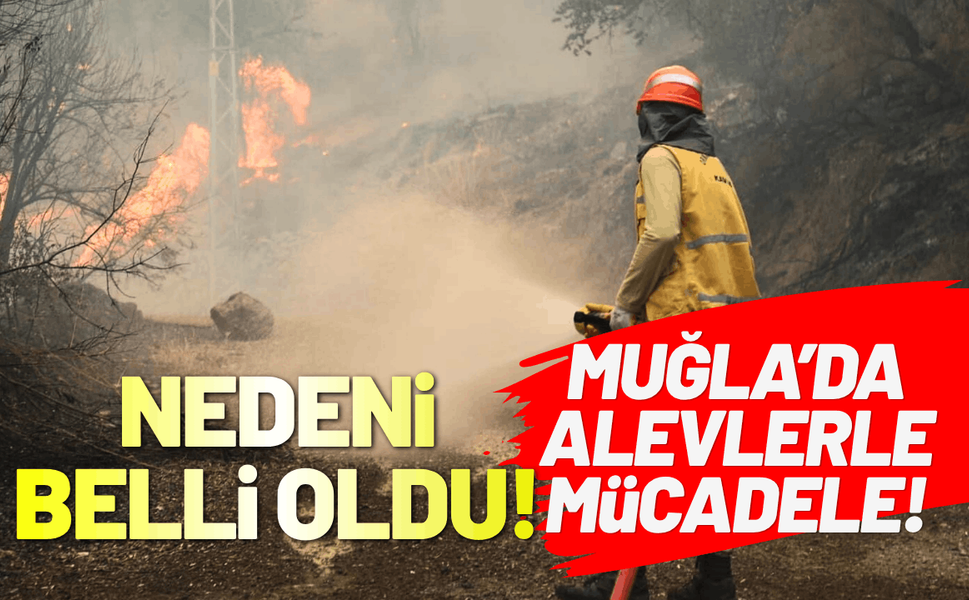 Muğla'da yangının çıkış nedeni belli oldu! Başkan Aras yangın bölgesinde...