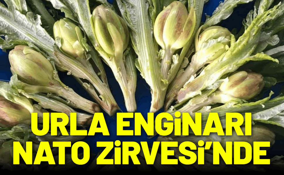 Urla enginarı NATO Zirvesi’nde, dünya liderlerinin sofrasında