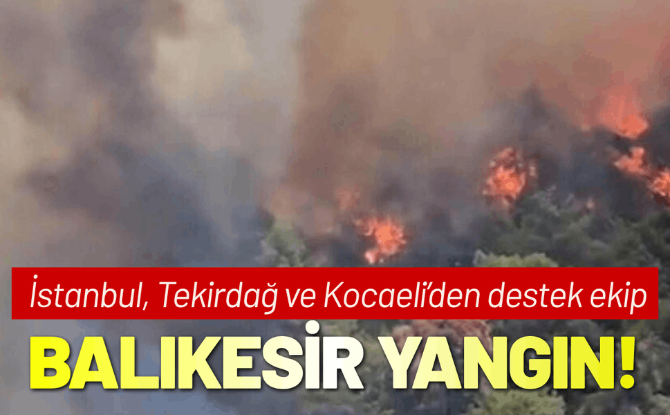 Balıkesir Gömeç'te yangın! Alevler ilerliyor