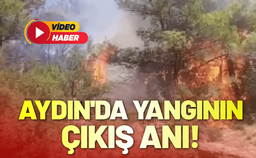 Aydın'da yangının çıkış anı!