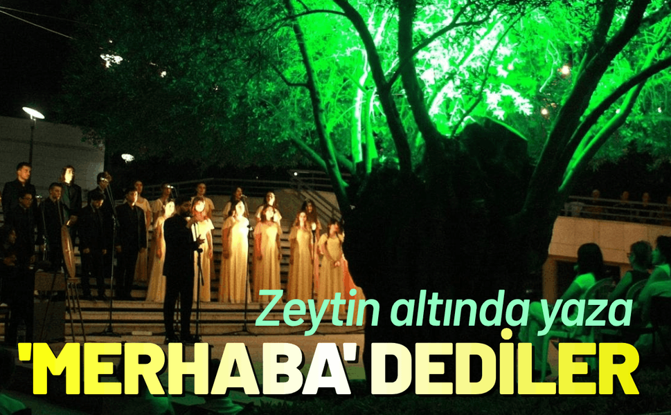 Zeytin altında yaza 'merhaba' dediler