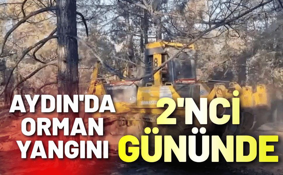 Aydın'da orman yangını 2'nci gününde