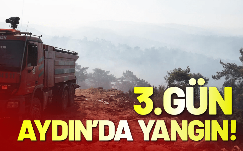 Aydın’da orman yangını 3'üncü gününde