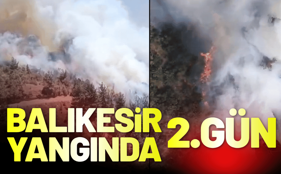 Balıkesir Sındırgı'da yangın ikinci gününde!