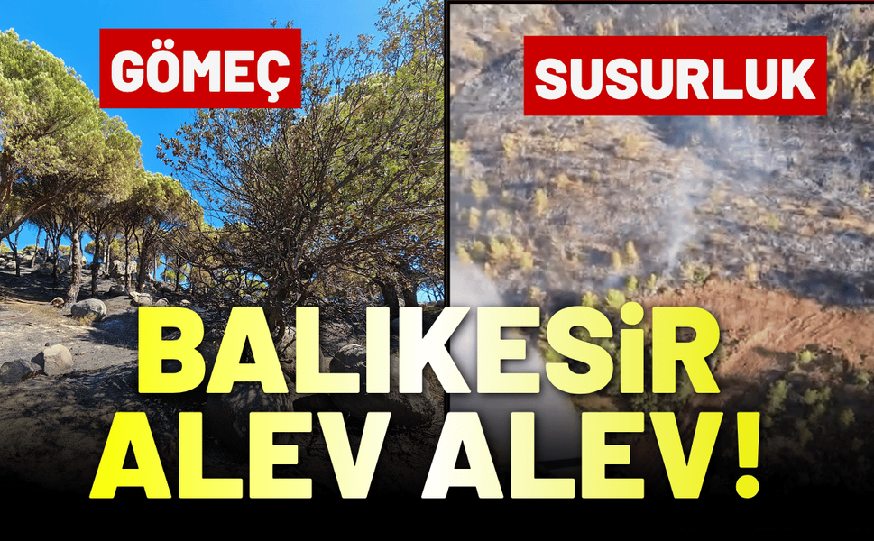 Balıkesir alev alev yanıyor: Susurluk ve Gömeç'te müdahale sürüyor